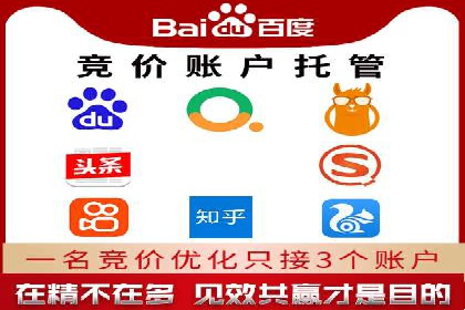 SEM服务托管：提升广告效果的成功案例解析